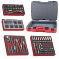 Teng Tools 172 Piece 1/4 Inch Drive Socket, Plier & Bit Foam Kit TC-6T-4